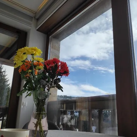 Mountain View 19 Zoned Ii *