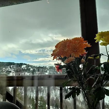 Mountain View 19 Zoned Ii Apartman