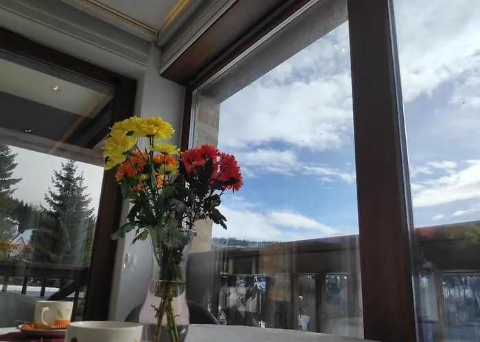 Mountain View 19 Zoned Ii *