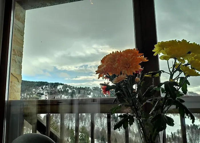 Mountain View 19 Zoned Ii Lejlighed